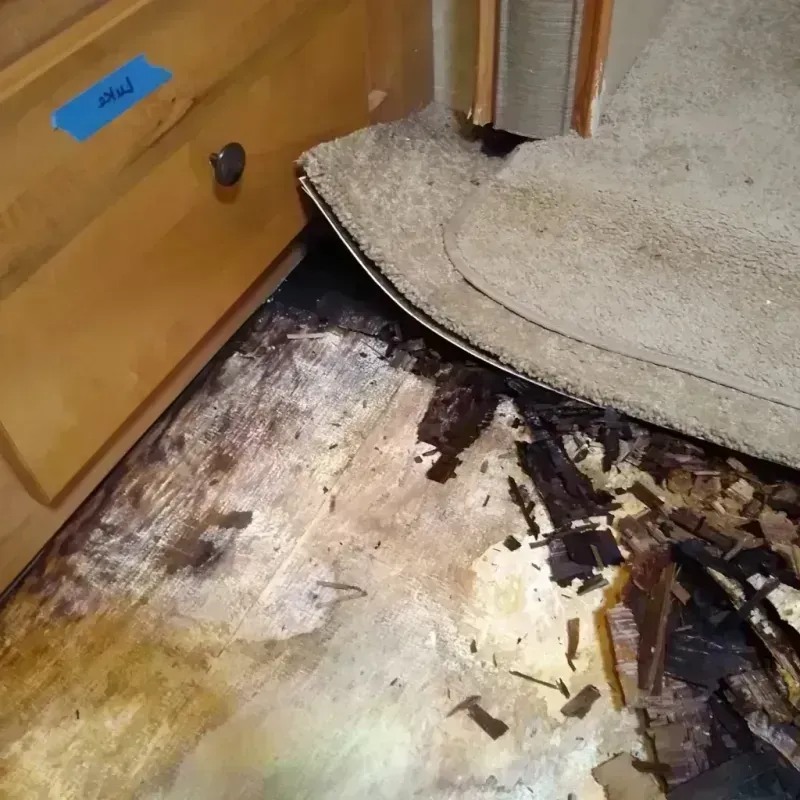 Best Wood Floor Water Damage Service in Oregon County, MO